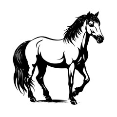 Naklejka na ściany i meble Graceful Horse Vector Illustration