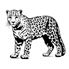  Sleek Leopard Vector Illustration