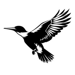  Loon Bird Vector Illustration