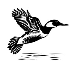  Loon Bird Vector Illustration