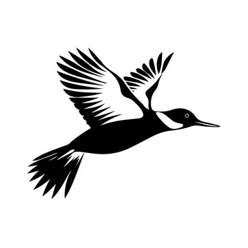recommend clip art:  Loon Bird Vector Illustration