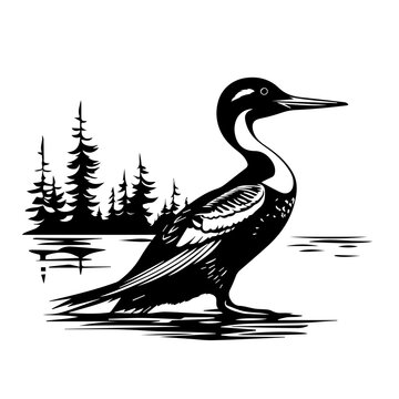 recommend clip art:  Loon Bird Vector Illustration