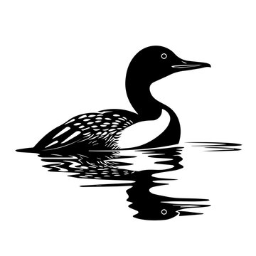 recommend clip art:  Loon Bird Vector Illustration