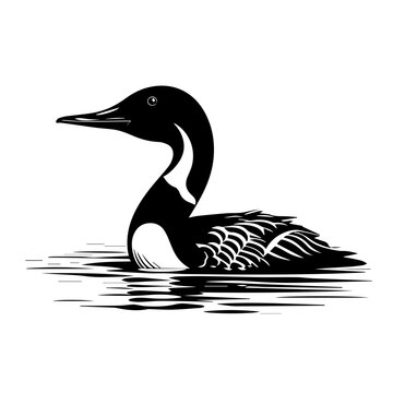 recommend clip art:  Loon Bird Vector Illustration