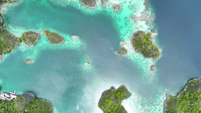 The incredibly scenic, limestone islands of Penemu are surrounded by beautiful coral reefs. These islands, found in northern Raja Ampat, support an amazing array of biodiversity.
