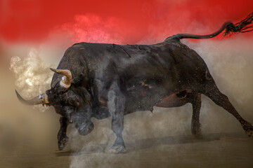 close-up of a large black bull charging in a bullfight - obrazy, fototapety, plakaty