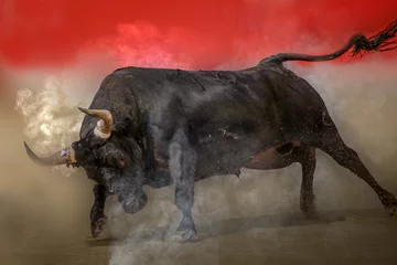 Foto op Aluminium close-up of a large black bull charging in a bullfight © Ralph Lear