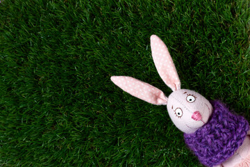 Head of pink rabbit doll on green grass background