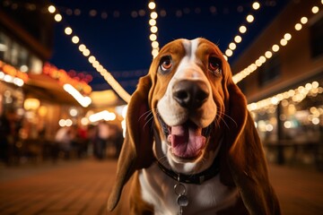 happy basset hound being in a field of flowers isolated in dog-friendly cafes and restaurants background - obrazy, fototapety, plakaty