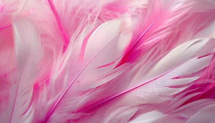 Fototapeta na wymiar pink feathers background
