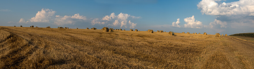 panorama of a field after harvest, stubble and straw bales in the distance