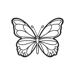 Butterfly Vector, Black And White Butterfly Line Art Vector Illustration 