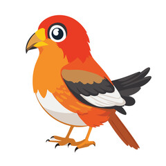 Bird Vector. Cute Bird Vector Illustration. Beautiful and cute multi-colored birds for any design