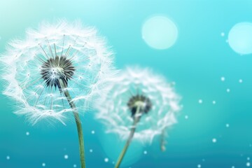  a couple of dandelions sitting on top of a blue sky filled with lots of white flecks.