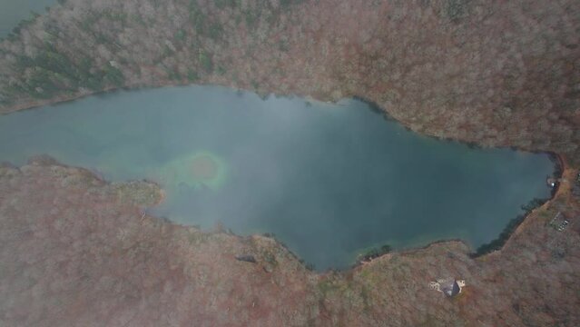 Aerial view of Montenegro Biograd Lake autumn colors and defoliated trees wooden pier and clouds with boats