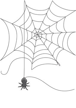 Vector illustration with cobweb and spider in minimalism for Halloween