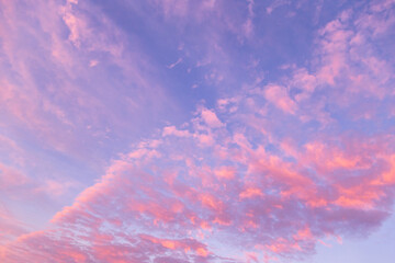 Sunrise, sunset pink blue sky with many little clouds background texture