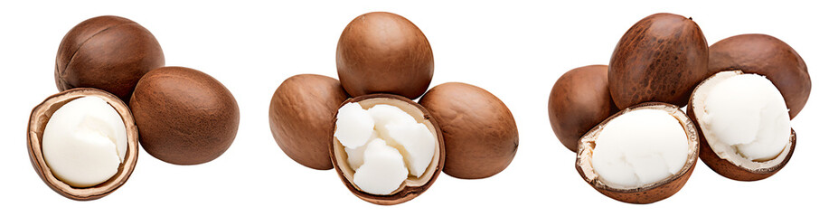 Shea nut isolated on a transparent background