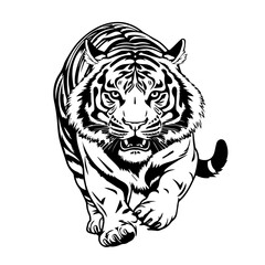 Majestic Tiger Vector Illustration