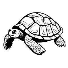 Tranquil Turtle Vector Illustration