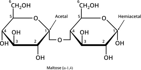 Reducing sugar maltose, a disaccharide in biochemistry