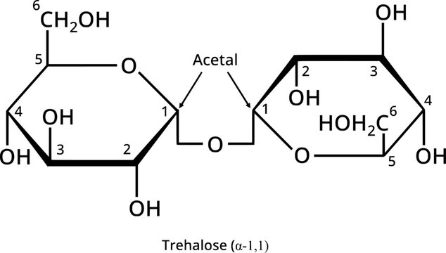Non-reducing sugar trehalose, a disaccharide in biochemistry