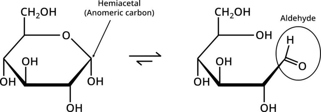 Conversion of glucose anomeric carbon_reducing sugar