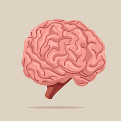 Human cerebrum in flat vector illustration. Internal organ, anatomy. 