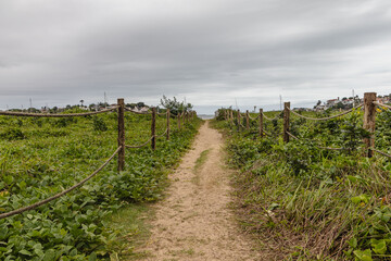 Fototapeta premium paisagem natural na cidade de Vitória, Estado do Espirito Santo, Brasil