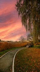Fototapeta premium sunset over the road