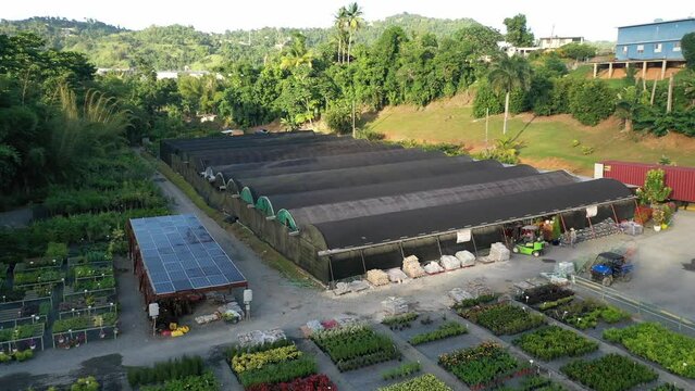 Drone footage of forklift truck driving out of greenhouse covered with shade net in plants nursery