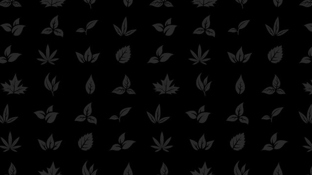 Moving Leaves Animation on a Black Background
