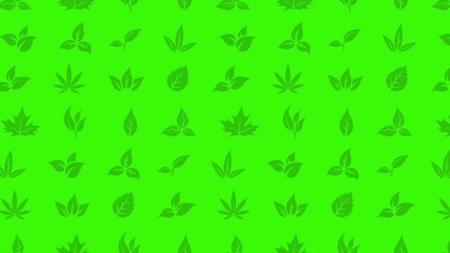 Moving Leaves Animation on a Green Background