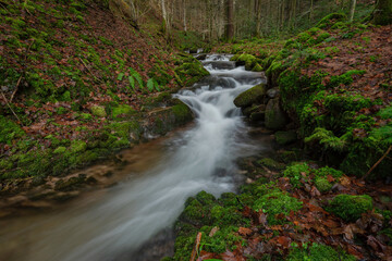 Ein Bach im Schwarzwald