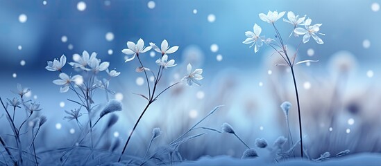 In the midst of winter, nature unveils its breathtaking beauty as delicate snowflakes blanket the plants, creating a close-up scene of a stunning and magical season.
