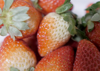 Close up of Strawberries 