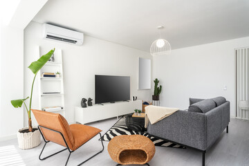Modern apartment living room interior with gray sofa and TV area and plant.