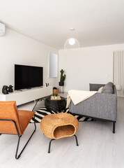 Modern apartment living room interior with gray sofa and TV area vertical format, 