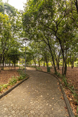 paisagem natural na cidade de Vitória, Estado do Espirito Santo, Brasil