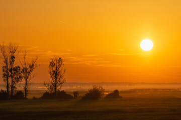 View of sunrise and dawn with fog over meadow. Photo from Biebrza National Park in Poland.