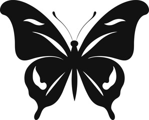 butterfly, vector illustration isolated on white background, hand drawing, ink