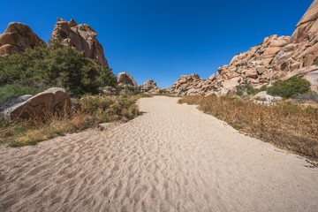 hiking the lost horse mine loop trail in joshua tree national park, california, usa