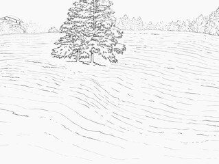 A Drawing Of A Tree In A Field - Christmas Greetings - a snow covered landscpe