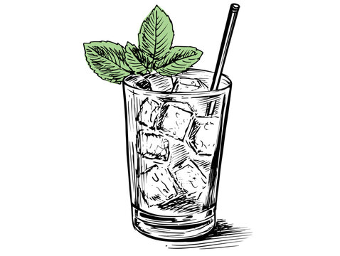 A Glass With Ice And Mint Leaves - Cocktail Mint julep.