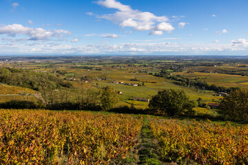 Paysage de la plaine de Villefranche-sur-Saône depuis le sommet du Mont Brouilly