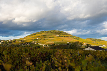 Obraz premium Mont Brouilly, couvert de vignes du Beaujolais colorées par l’automne, sous les nuages mais éclairé par un soleil rasant