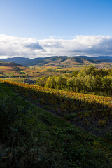 Fototapeta na wymiar Panorama sur les monts et les vignes du Beaujolais depuis les flancs du Mont Brouilly