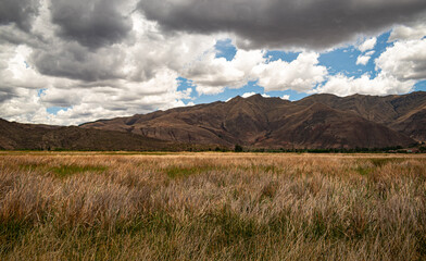 tranquil landscape with grass of different colors in the foreground, mountains and clouds in the background