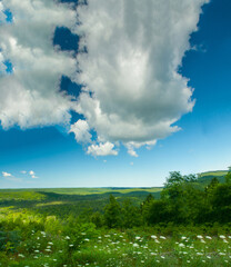 Fototapeta premium Deadman's Hill Overlook, Michigan in Summer
