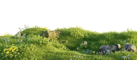Papier Peint photo autocollant Prairie, marais Verdant Hill Blooming with Yellow Flowers in Spring. 3D render.